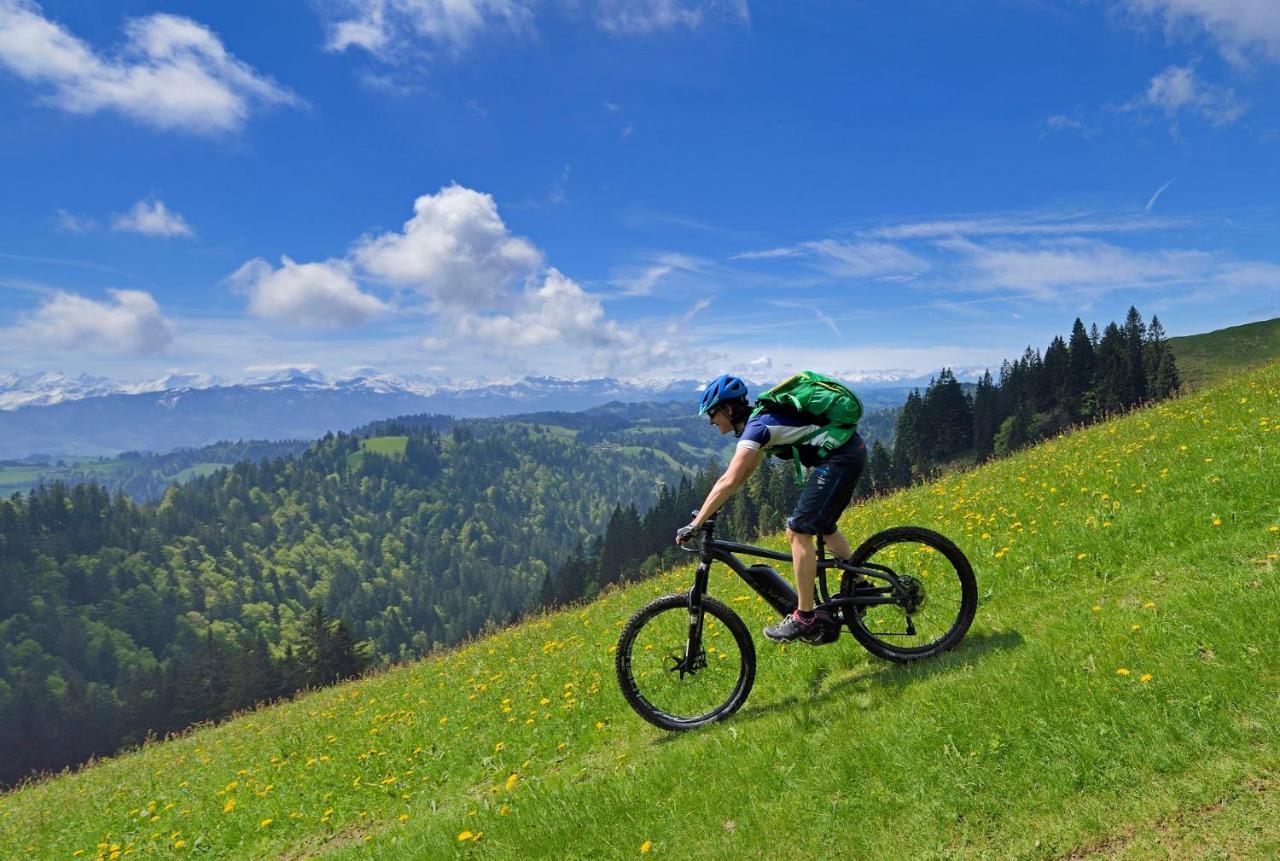 Peter Und Paul 3* Willisau